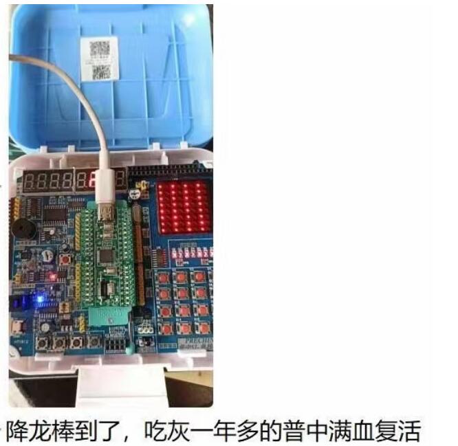 STC89C52开发板 打狗棒降龙棍.jpg