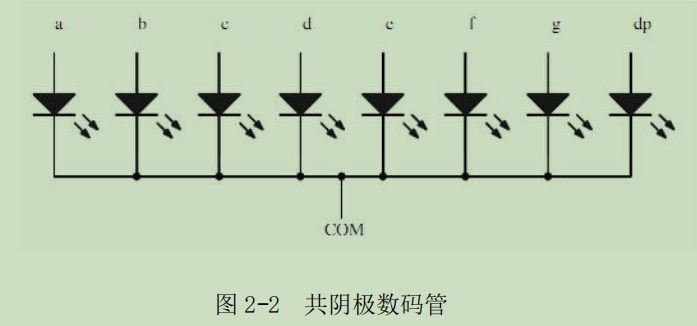 新手学STC单片机 实验二 动态数码管的显示-1.png