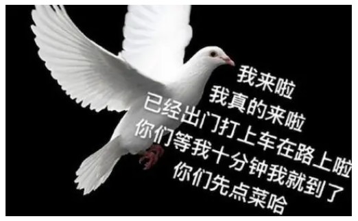截图202311171245372429.jpg