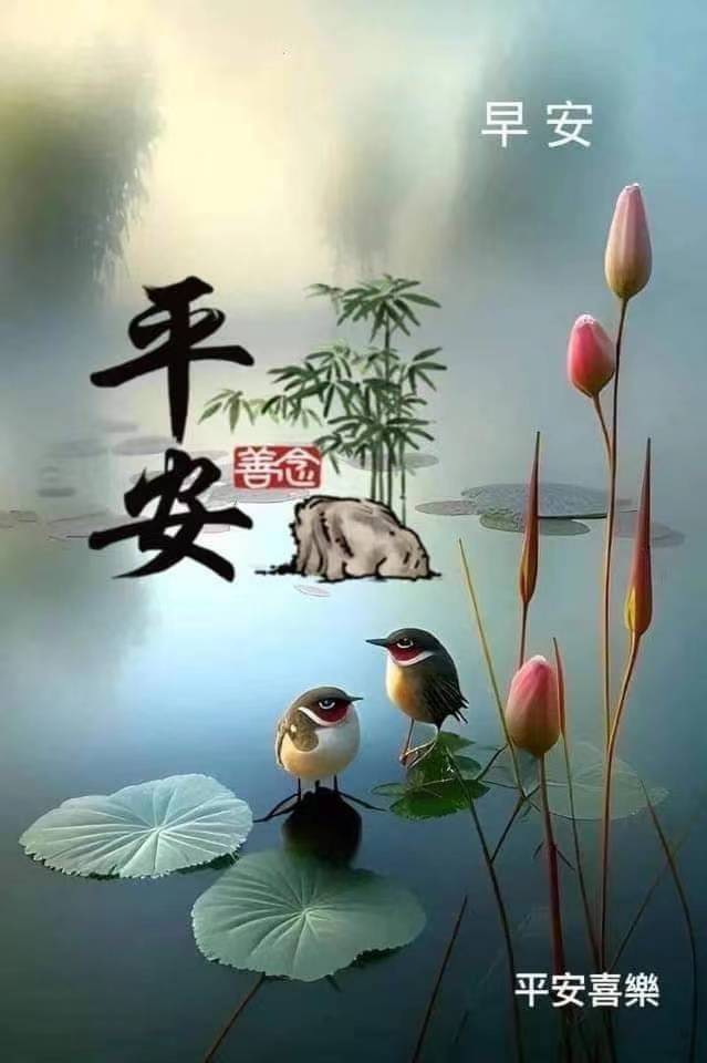 截图202406300832045251.jpg