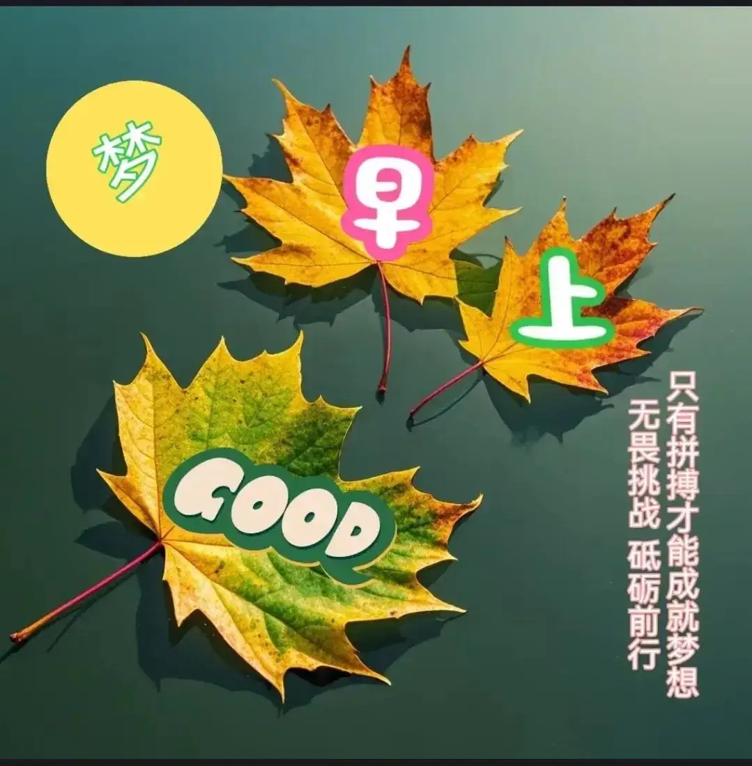 截图202409162047433936.jpg
