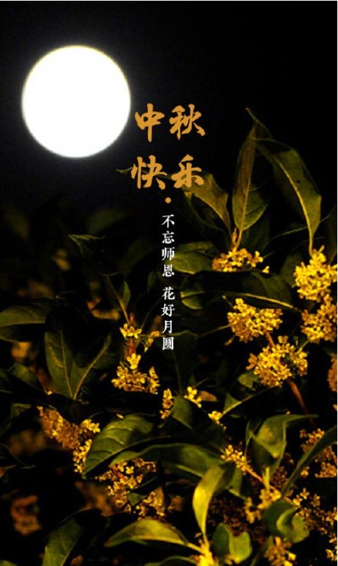 截图202409162123515631.jpg