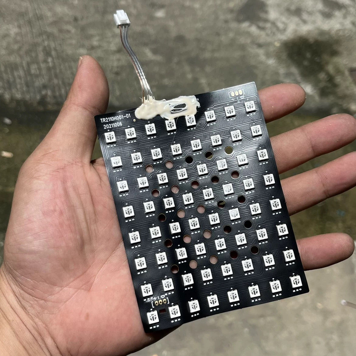 1735791494008-1813028187.jpg