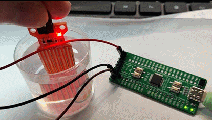 water_level_measurement.gif