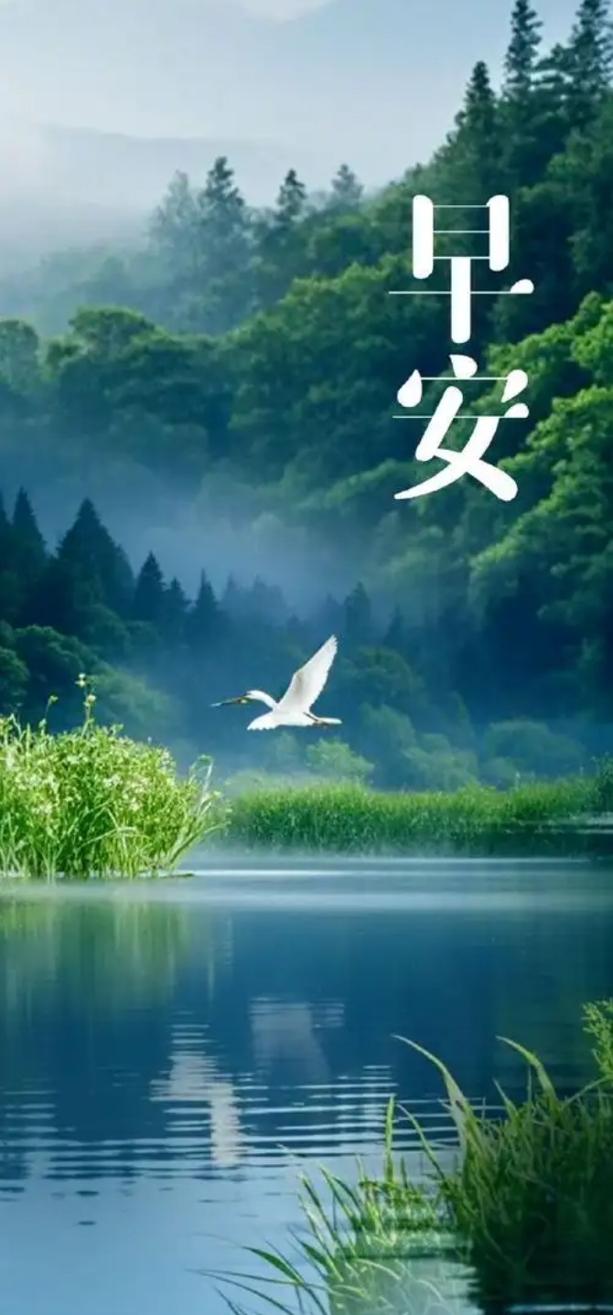 截图202506221010116683.jpg
